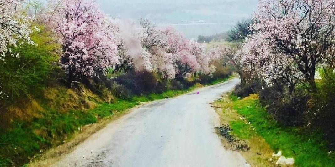 Kartpostal değil gerçek: Gediz bahar güzelliğine büründü 1